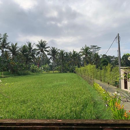 Adi Laxmi Villa Ubud Exterior foto