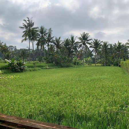 Adi Laxmi Villa Ubud Exterior foto