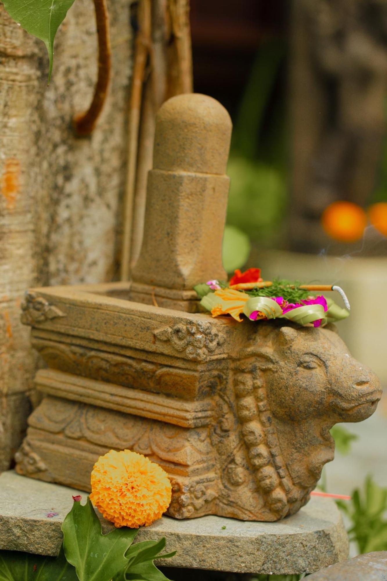 Adi Laxmi Villa Ubud Exterior foto