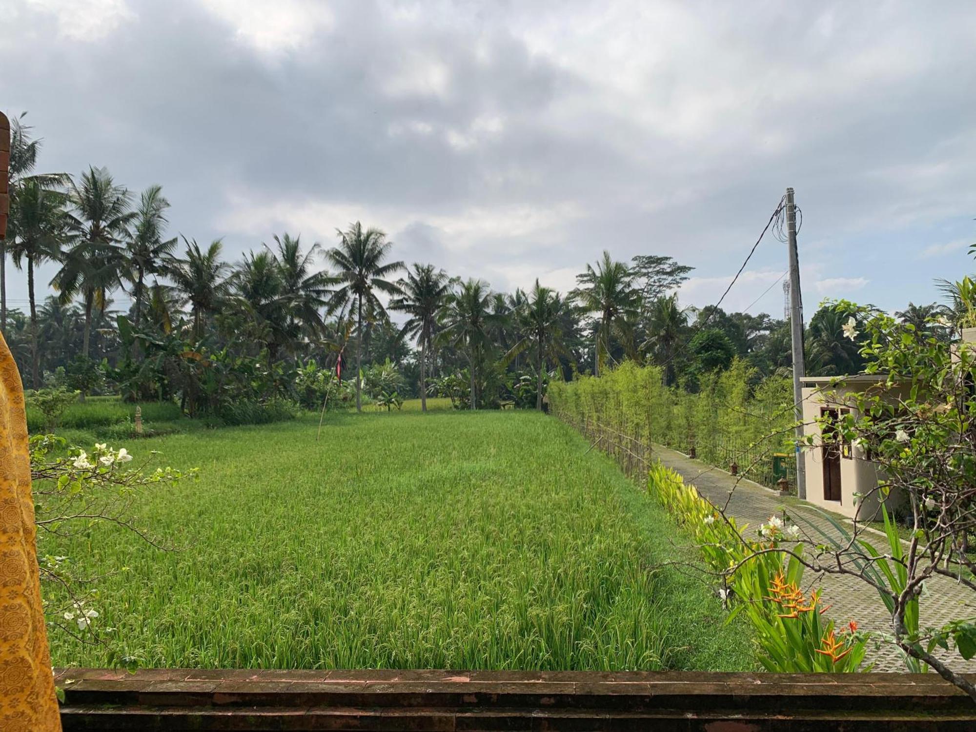 Adi Laxmi Villa Ubud Exterior foto